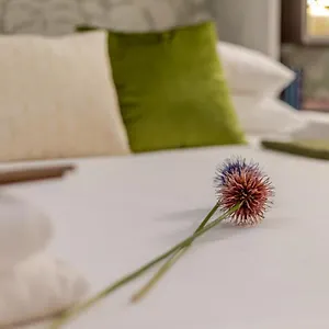 Terrace Loft Colosseum Apartment Rome